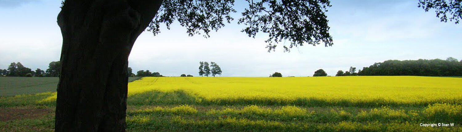 Countryside